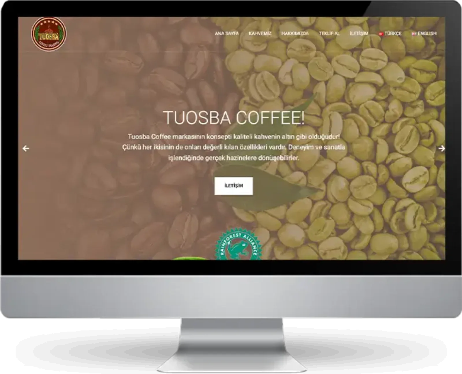 tuosbacoffee com